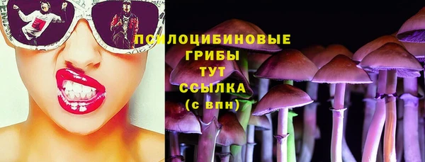 тгк Дмитровск
