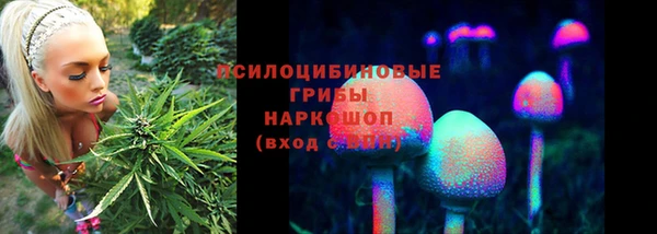 тгк Дмитровск
