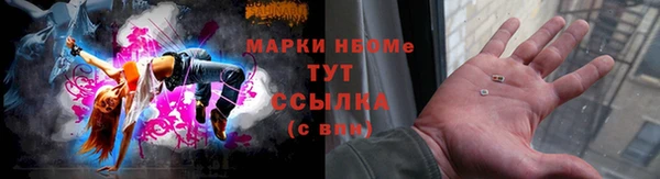 тгк Дмитровск