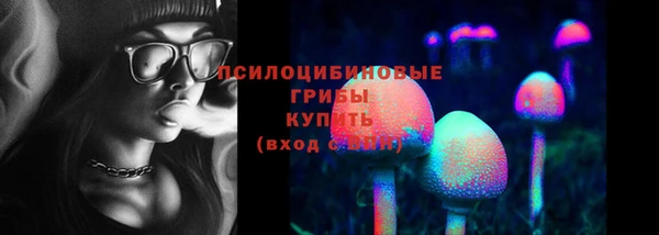 прущий лед Дмитриев