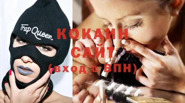 прущий лед Дмитриев