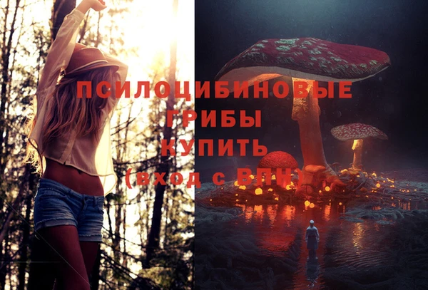 тгк Дмитровск