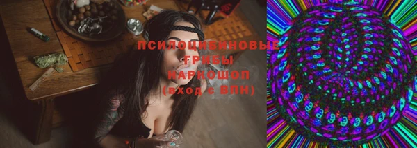 прущий лед Дмитриев